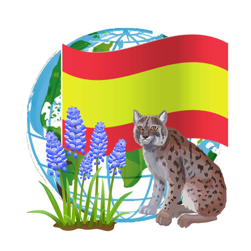 Spanish